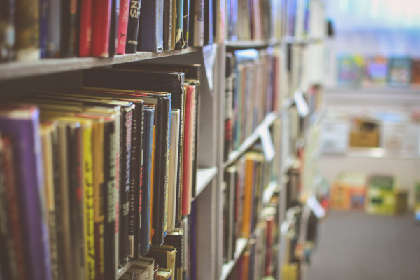 School Article Library